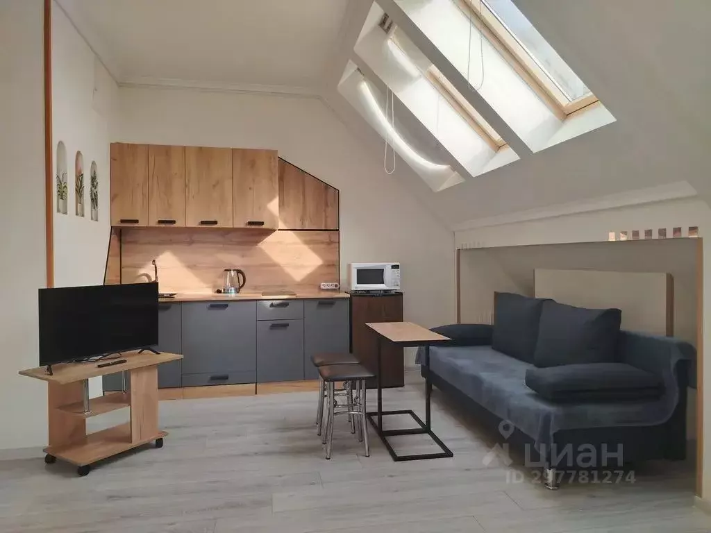 Комната Краснодарский край, Сочи городской округ, Дагомыс пгт ул. ... - Фото 1