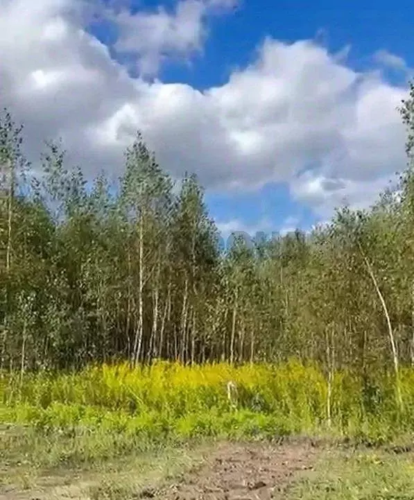 Участок в Новосибирская область, Мошковский район, Индия кп, ... - Фото 1