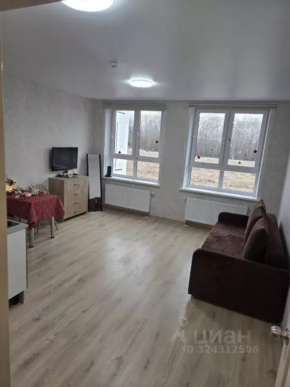 Студия Пермский край, Пермский муниципальный округ, с. Фролы ул. ... - Фото 1