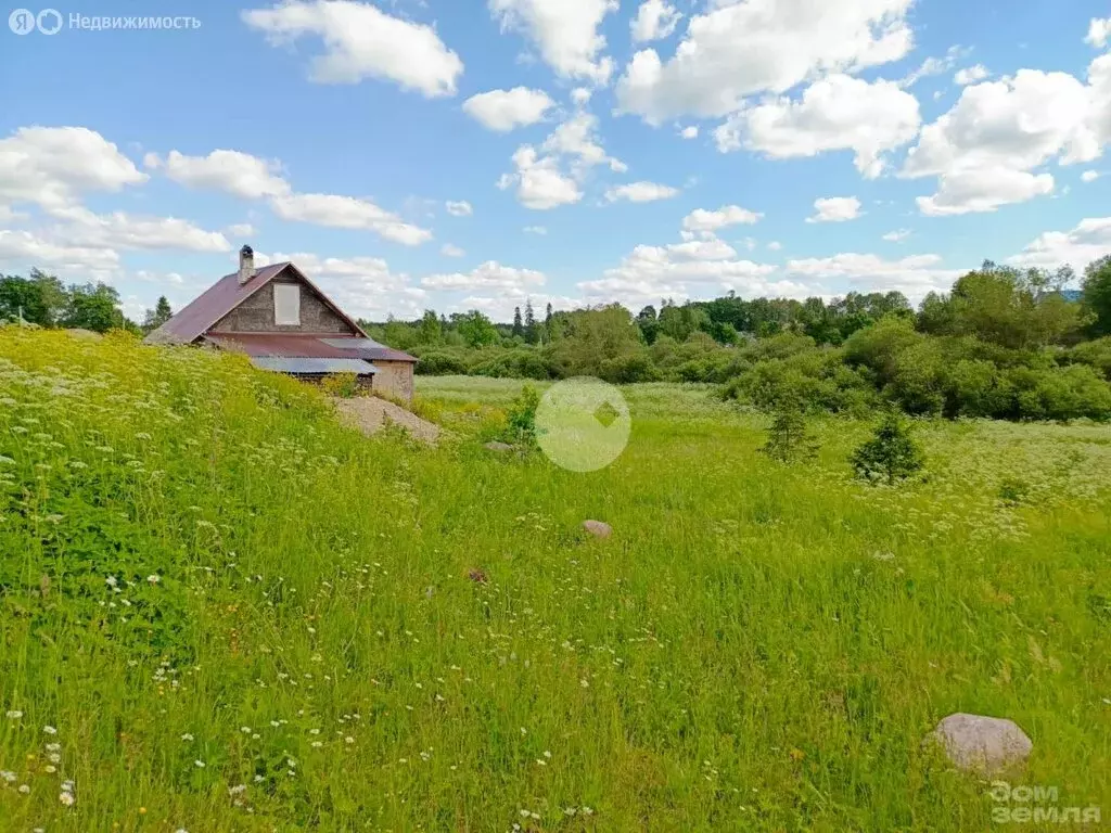 Дом в Клопицкое сельское поселение, деревня Волгово (42 м) - Фото 1