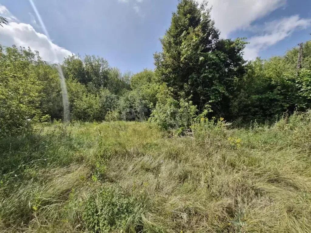 Участок в Белгородская область, Волоконовский район, Покровское с/пос, ... - Фото 1