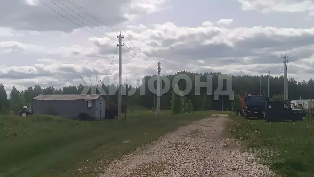 Участок в Новосибирская область, Колыванский район, с. Скала ул. 40 ... - Фото 0