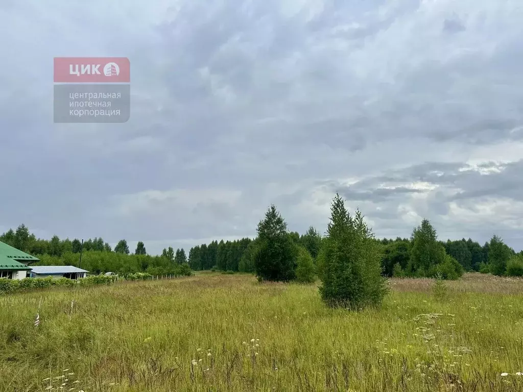 Участок в Рязанская область, Путятинский муниципальный округ, с. ... - Фото 1