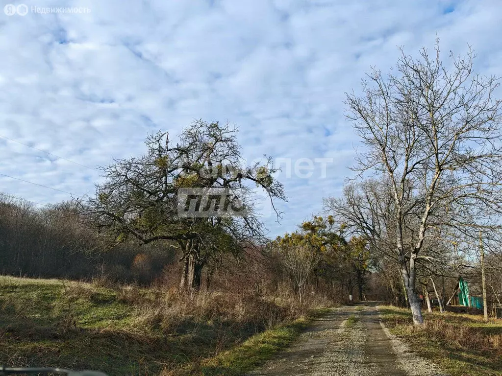 Участок в посёлок Мичурина, Подлесная улица, 5 (15.78 м) - Фото 1