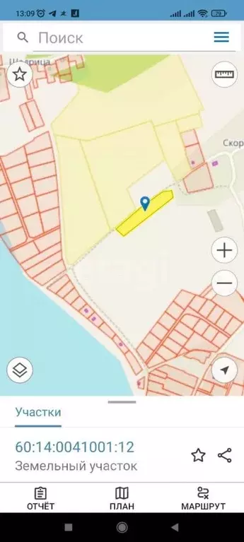 Участок в Псковская область, Палкинский район, Новоуситовская волость, ... - Фото 1