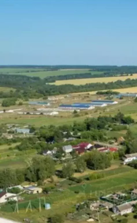 Склад в Липецкая область, Задонский район, Кашарский сельсовет, с. ... - Фото 1