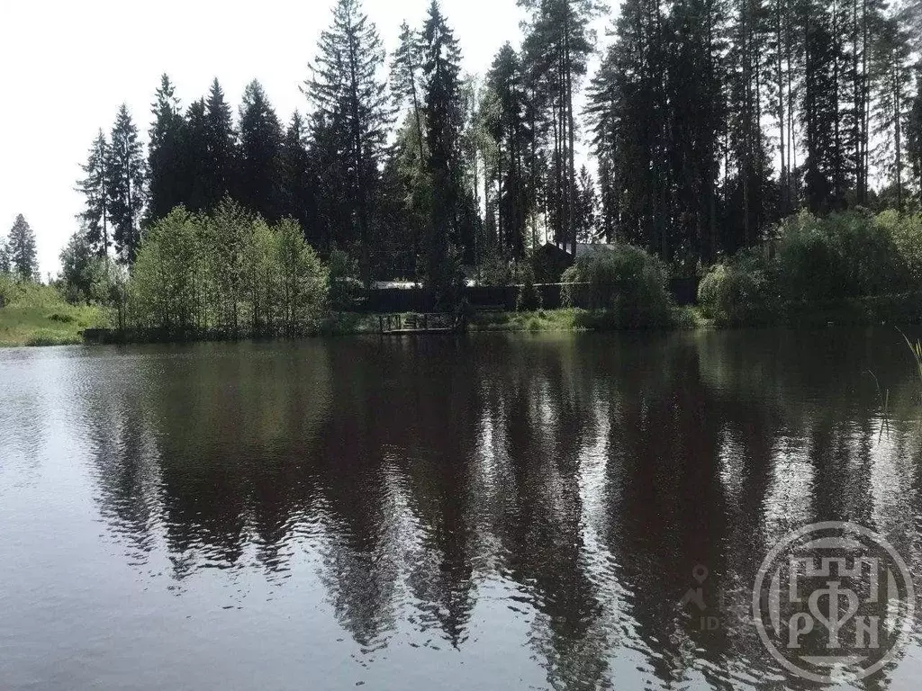 Участок, 10 сот., сельхоз (снт или днп) - Фото 1