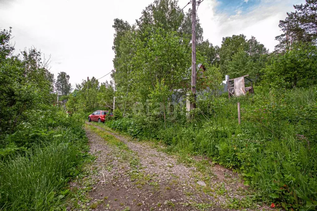 участок в новосибирская область, новосибирский район, раздольненский . - Фото 1