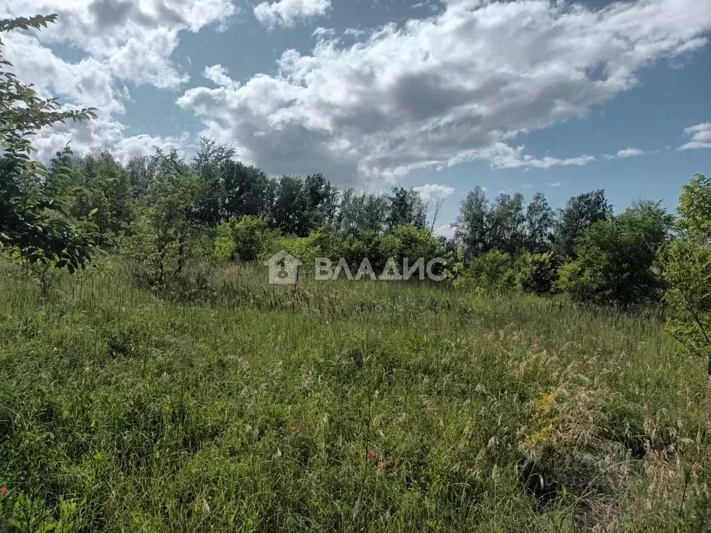Участок в Пензенская область, с. Бессоновка ул. Луговая, 41В (15.0 ... - Фото 0