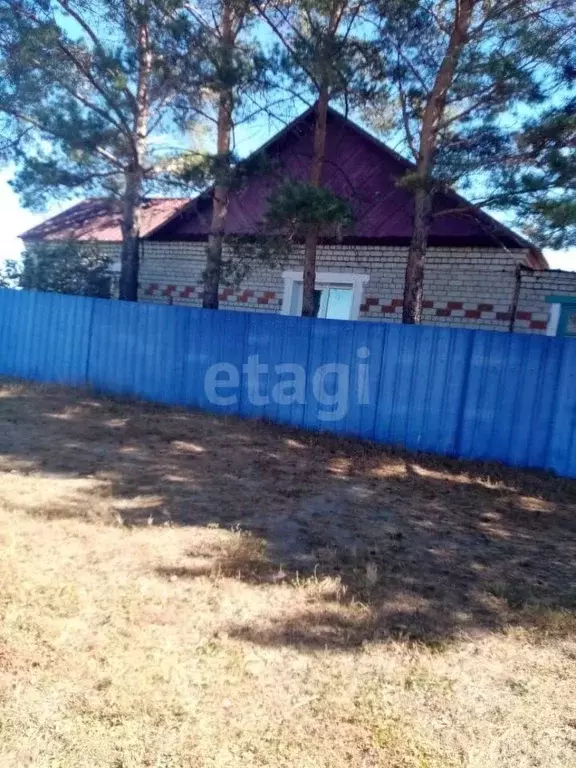 Дом в Амурская область, Ивановский муниципальный округ, с. Среднебелая ... - Фото 1