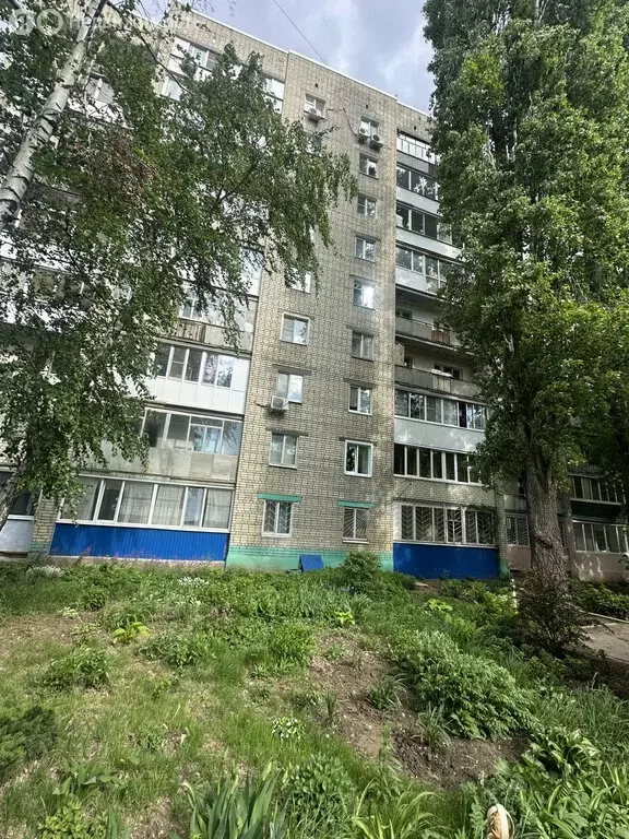 1-комнатная квартира: Саратов, улица имени Н.М. Тулайкова, 10 (33 м) - Фото 0