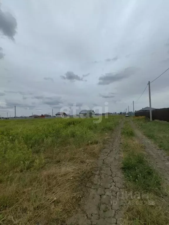 Участок в Ростовская область, Сальский район, Гигантовское с/пос, ... - Фото 1