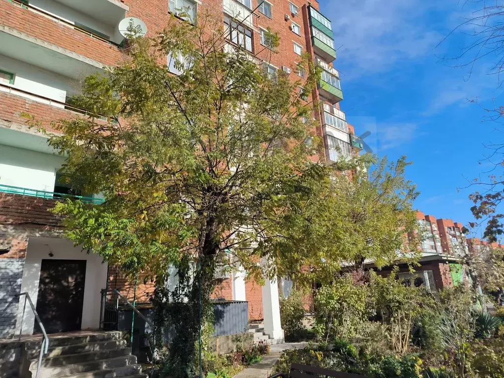 1-к кв. Адыгея, Майкоп Пролетарская ул., 455 (34.1 м) - Фото 1