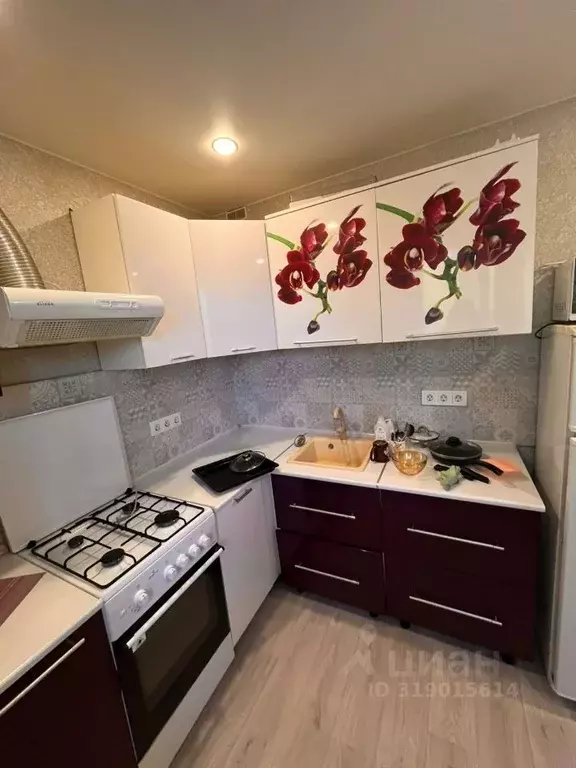 1-к кв. Ленинградская область, Тихвин 4-й мкр, 25 (29.0 м) - Фото 1