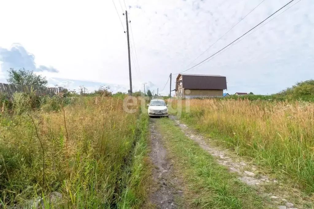 Участок в Тюменская область, Тюмень Рябинка-2 садовое товарищество, ... - Фото 1