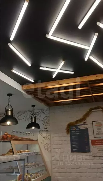 Помещение свободного назначения в Саратовская область, Саратов ул. ... - Фото 2