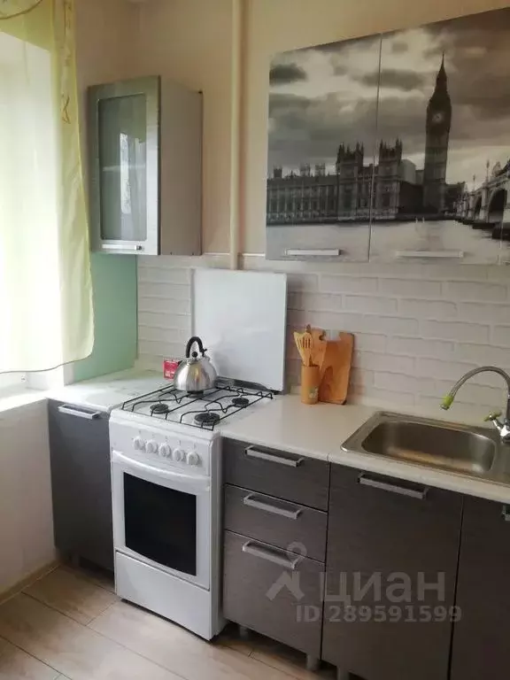 2-к кв. Белгородская область, Белгород ул. Победы, 81 (49.0 м) - Фото 2