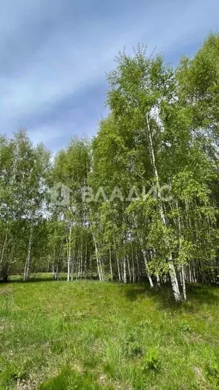 Участок в Владимирская область, Камешковский район, Второвское ... - Фото 0