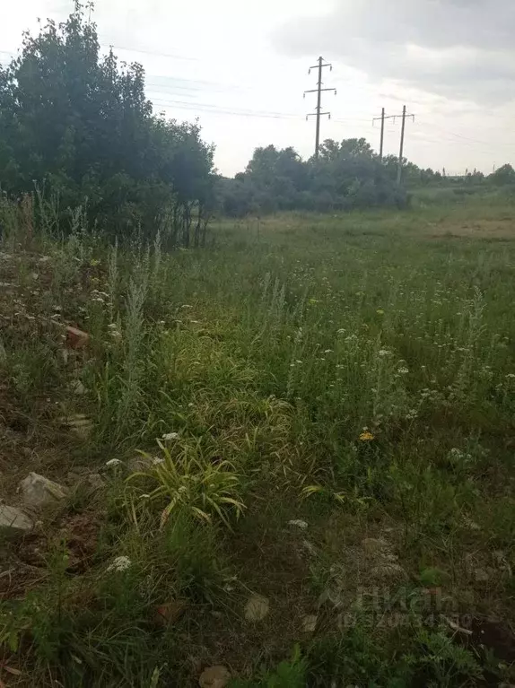 Участок в Саратовская область, с. Михайловка  (10.0 сот.) - Фото 2