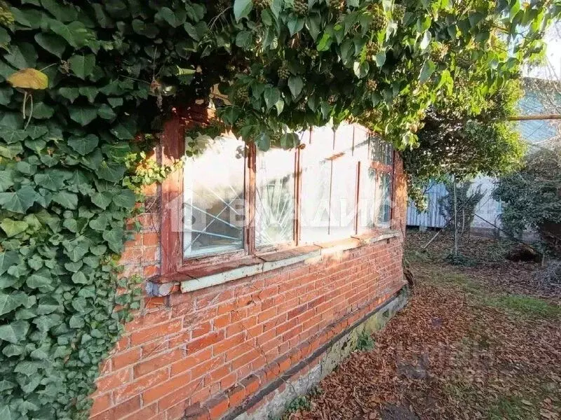 Дом в Адыгея, Майкоп Дружба ДНТ, ул. Набережная (24 м) - Фото 1