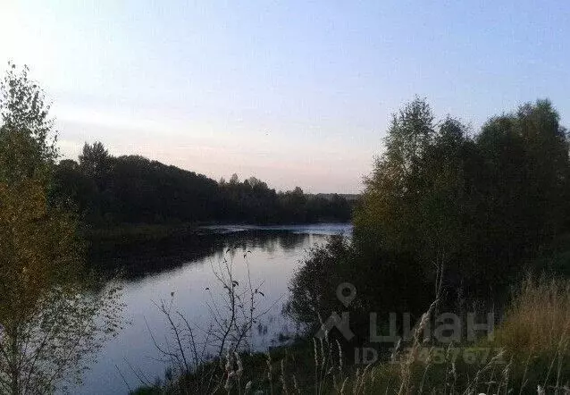 Участок в Новгородская область, Боровичский район, д. Егла Набережная ... - Фото 0