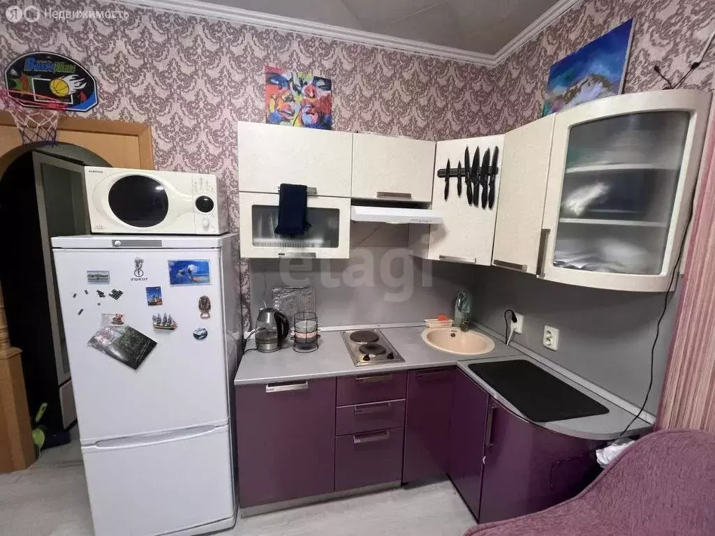 Квартира-студия: Санкт-Петербург, Рыбацкий проспект, 17к1 (26.2 м) - Фото 2