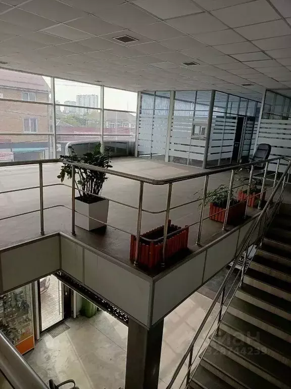 Помещение свободного назначения в Краснодарский край, Краснодар ул. ... - Фото 1