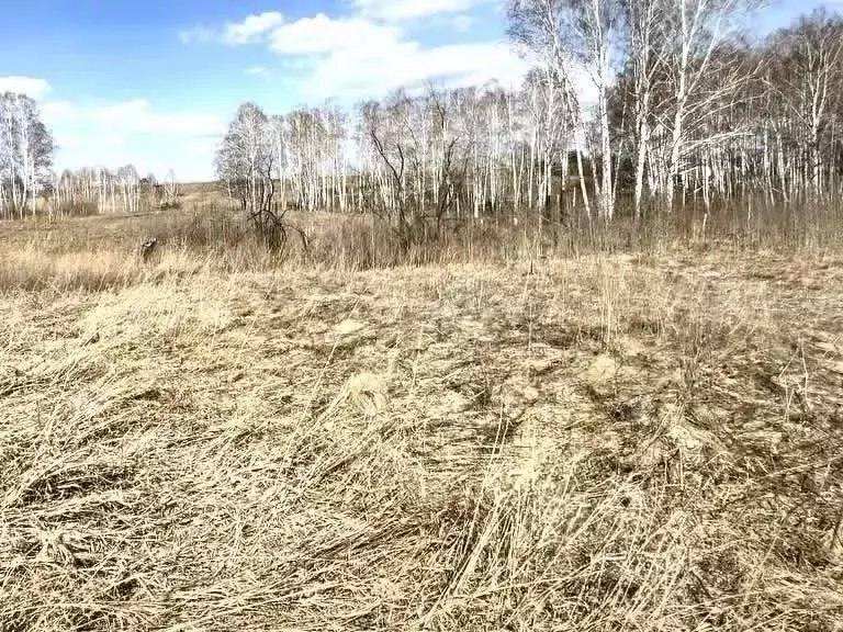 Участок в Красноярский край, Емельяновский район, Шуваевский ... - Фото 1