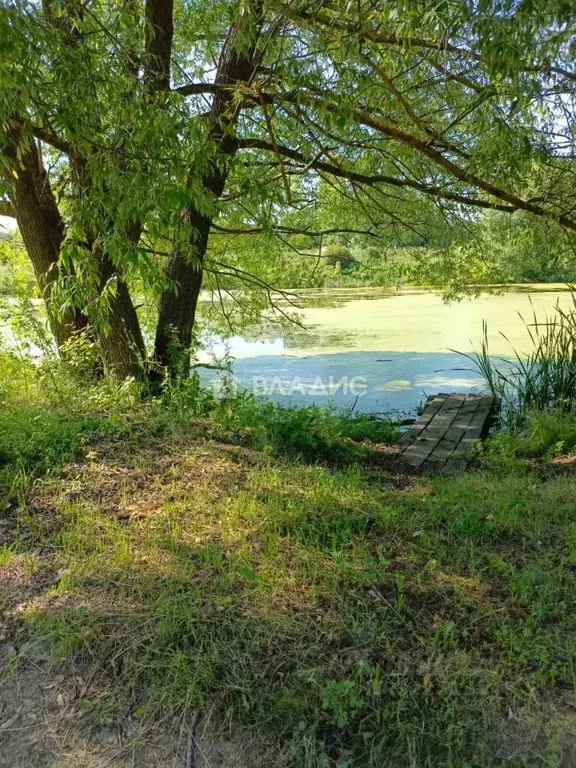 Участок в Владимирская область, Суздальский район, Новоалександровское ... - Фото 1