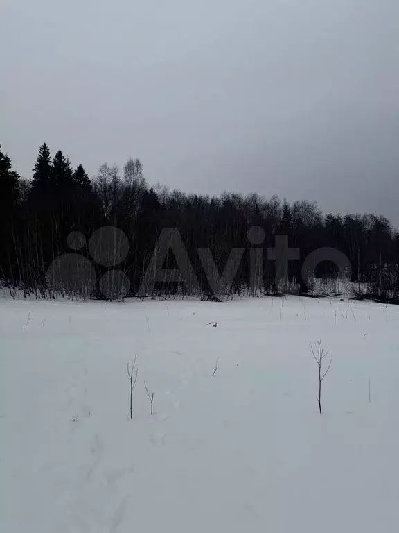 Участок 15 сот. (ИЖС) - Фото 1
