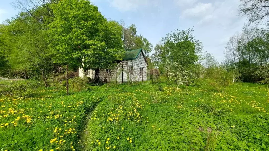 Дом в Калининградская область, Гурьевский муниципальный округ, пос. ... - Фото 1