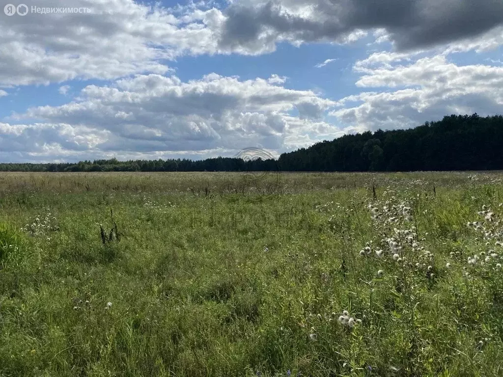 Участок в деревня Исаково (20 м) - Фото 2