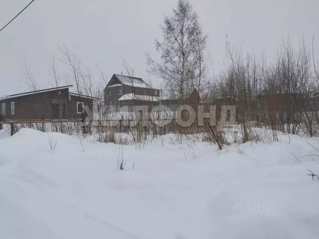 Участок в Новосибирская область, Новосибирский район, Криводановский ... - Фото 1