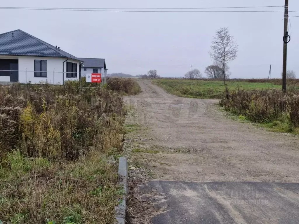 Участок в Калининградская область, Гурьевский муниципальный округ, ... - Фото 2