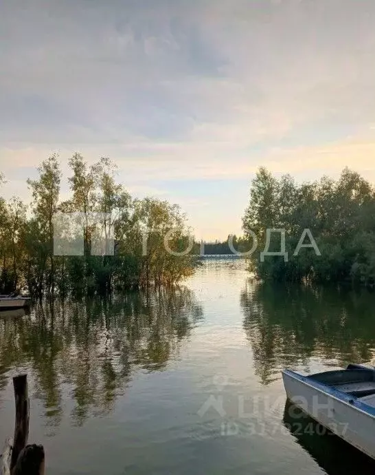 Участок в Новосибирская область, Новосибирский район, Кудряшовский ... - Фото 0