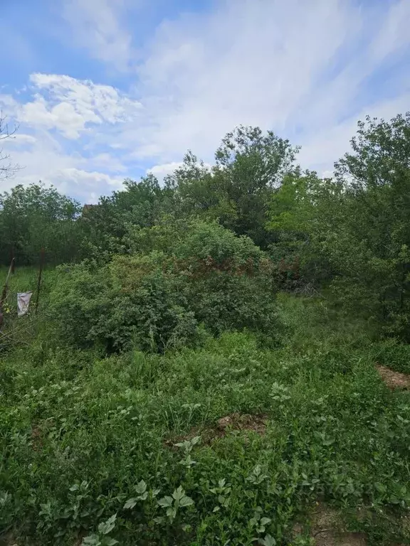 Участок в Ростовская область, Новочеркасск Троицкая ул., 107 (6.0 ... - Фото 1