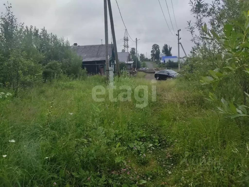 Дом в Свердловская область, Верхняя Тура ул. Иканина (33.7 м), Купить дом в  Верхней Туре, ID объекта - 50012917256