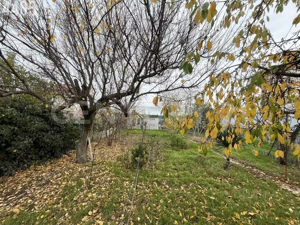 Участок в Севастополь СНТ Эдельвейс ТСН, 1к64Б (4.5 сот.) - Фото 2