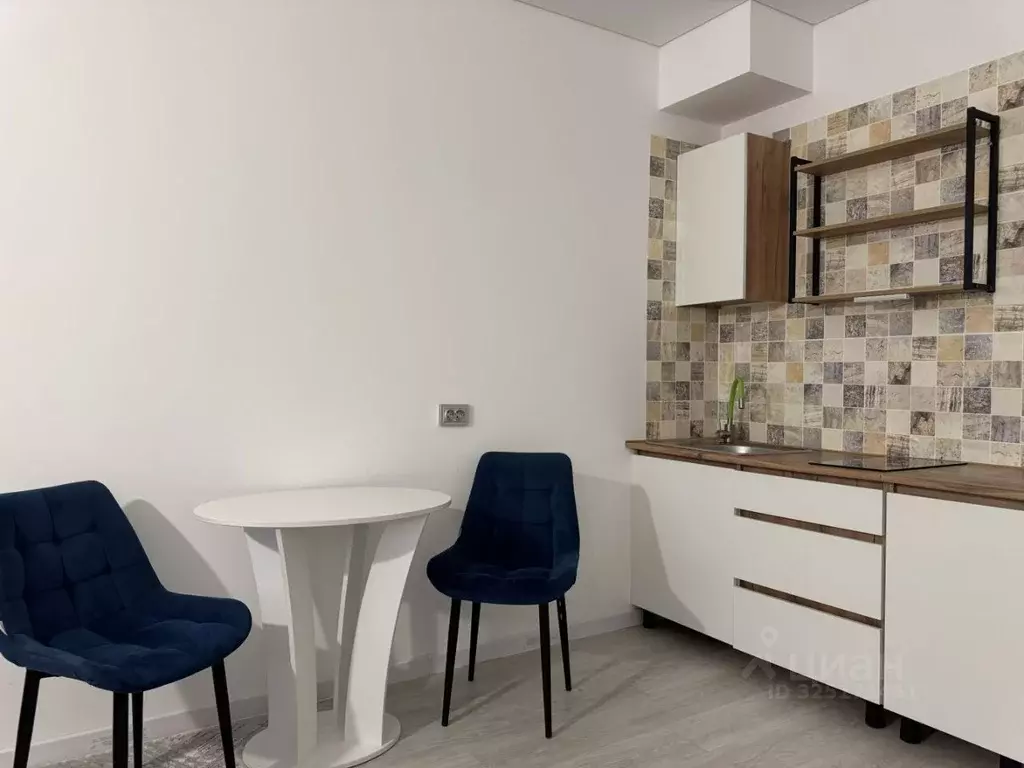 Студия Санкт-Петербург Светлановский просп., 12к1 (24.9 м) - Фото 1