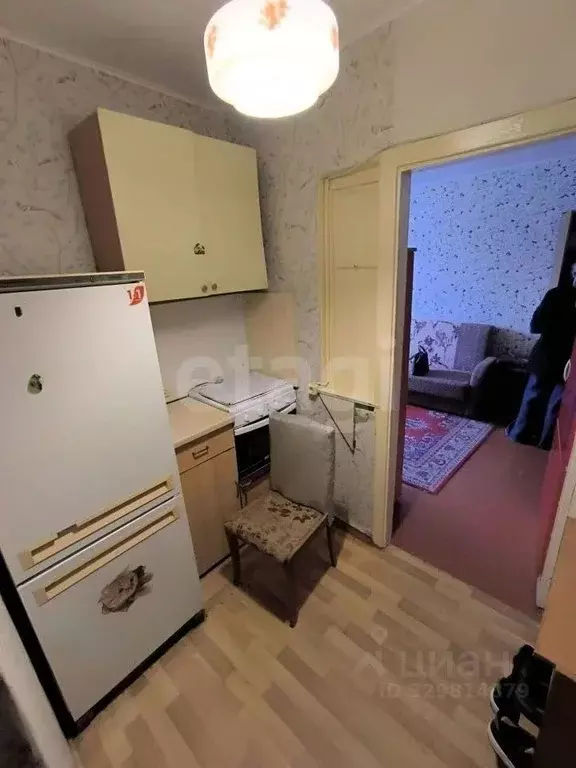 2-к кв. Липецкая область, Липецк Левобережная ул., 1Б (24.9 м) - Фото 1