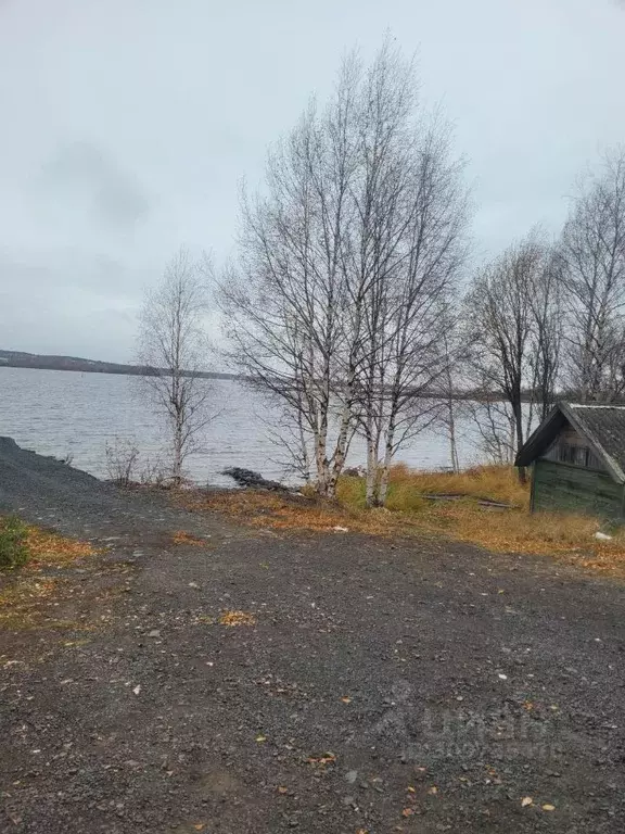 Участок в Карелия, Прионежский район, с. Заозерье, Тихий Наволок кв-л  ... - Фото 1