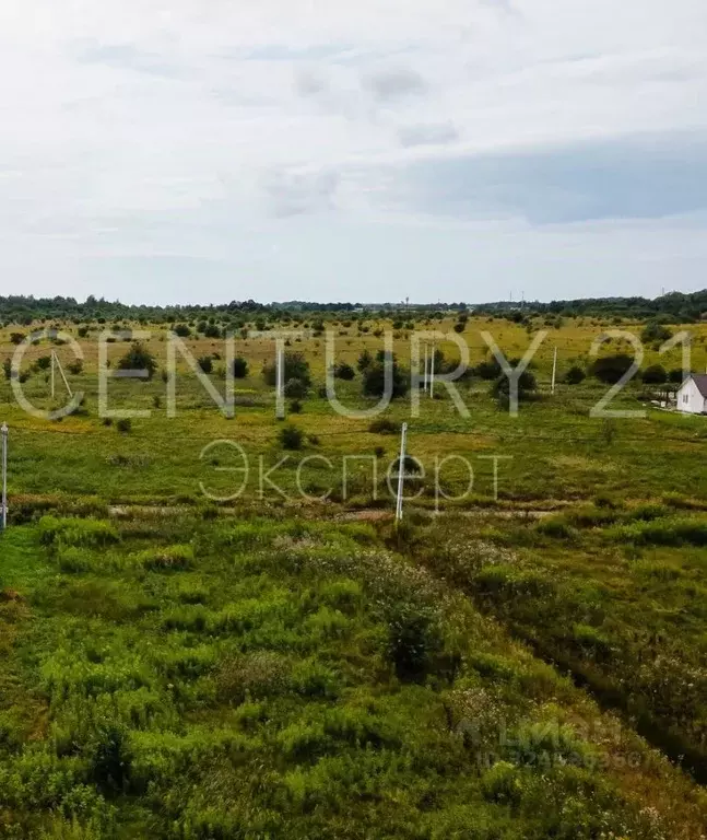 Участок в Калининградская область, Зеленоградский муниципальный округ, ... - Фото 1