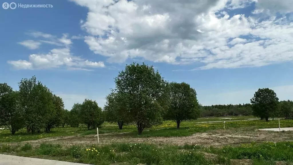 Участок в Московская область, Дмитровский муниципальный округ, КП ... - Фото 1