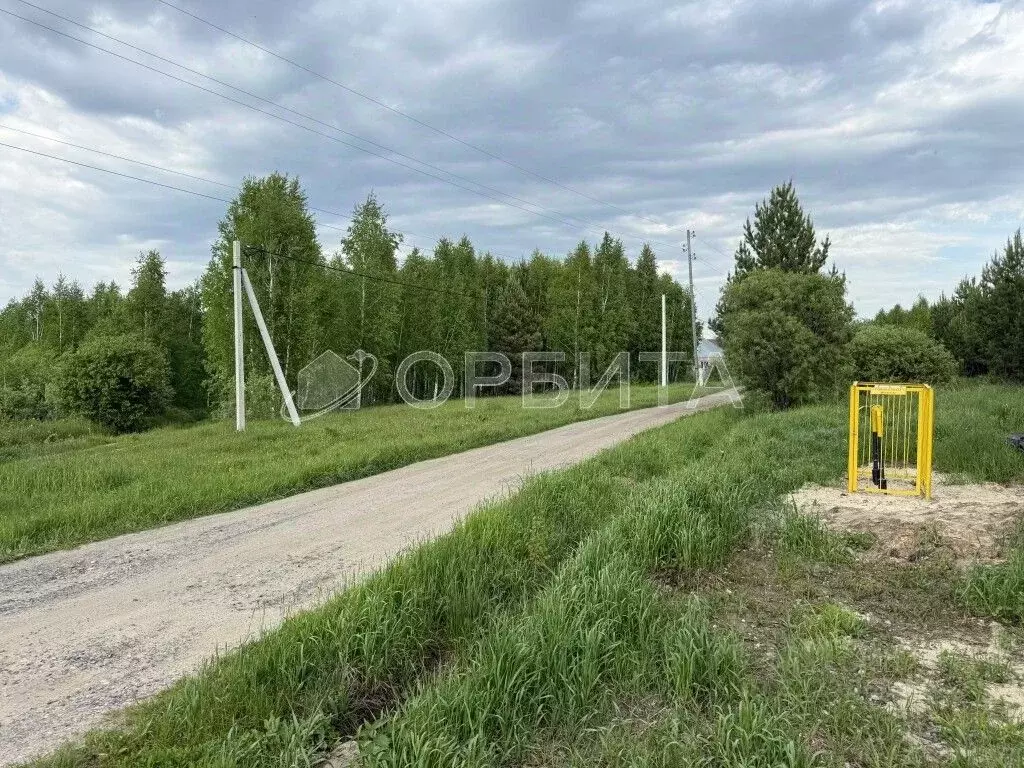 Участок в Тюменская область, Тюменский муниципальный округ, д. ... - Фото 2