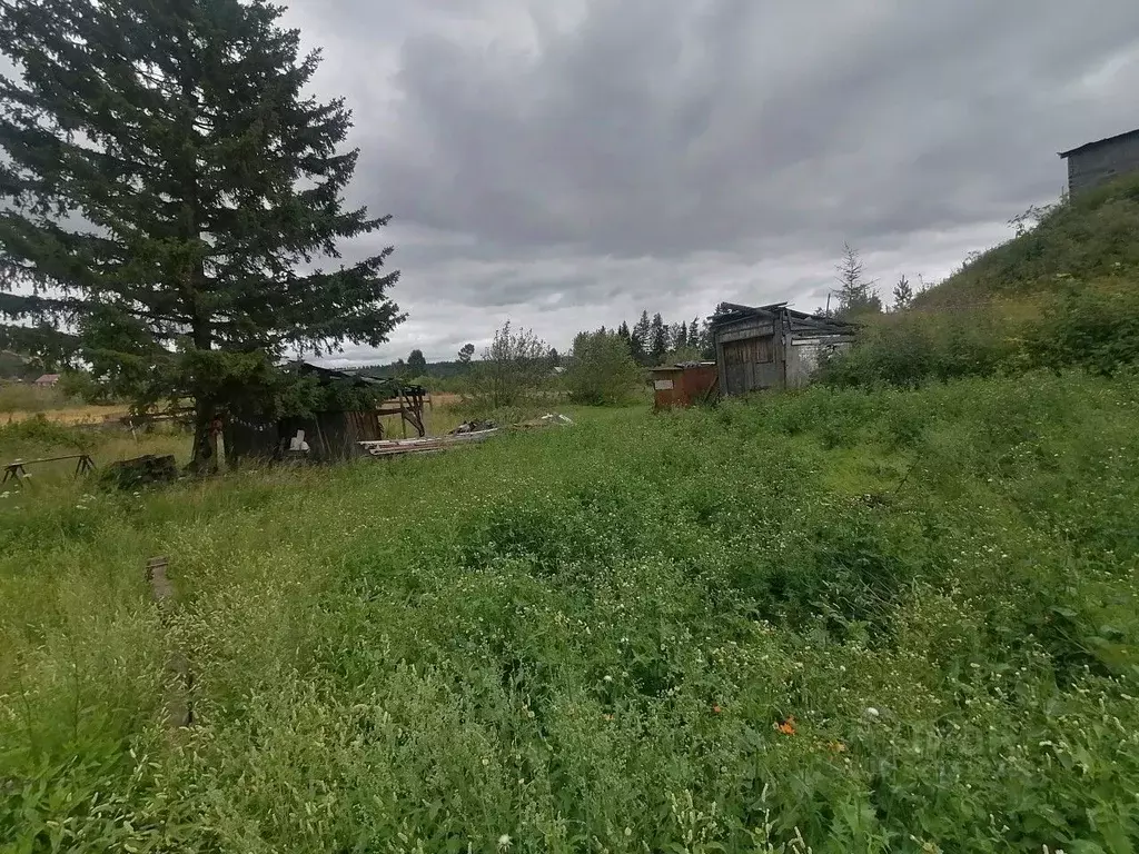 Участок в Иркутская область, Усть-Илимский муниципальный округ, пос. ... - Фото 1