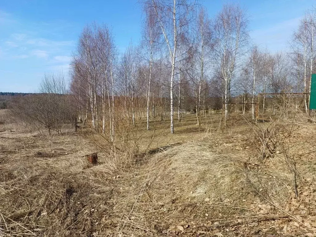 Участок в Московская область, Сергиево-Посадский городской округ, с. ... - Фото 1