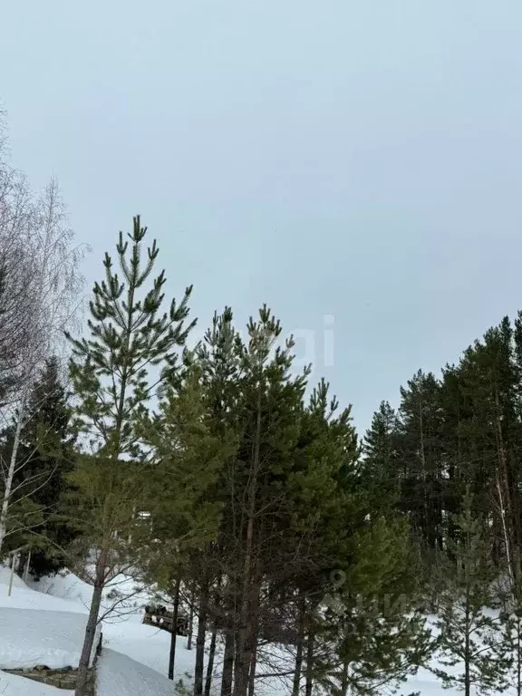 Дом в Свердловская область, Сысертский муниципальный округ, д. ... - Фото 1
