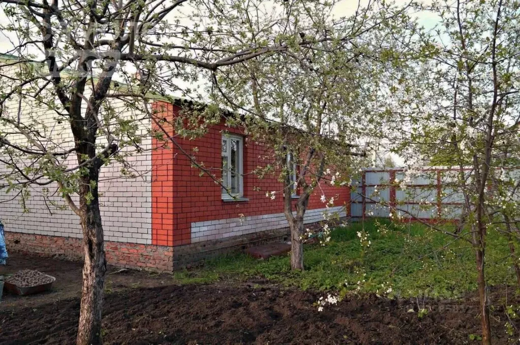 Дом в Курская область, Золотухино муниципальное образование, ... - Фото 1