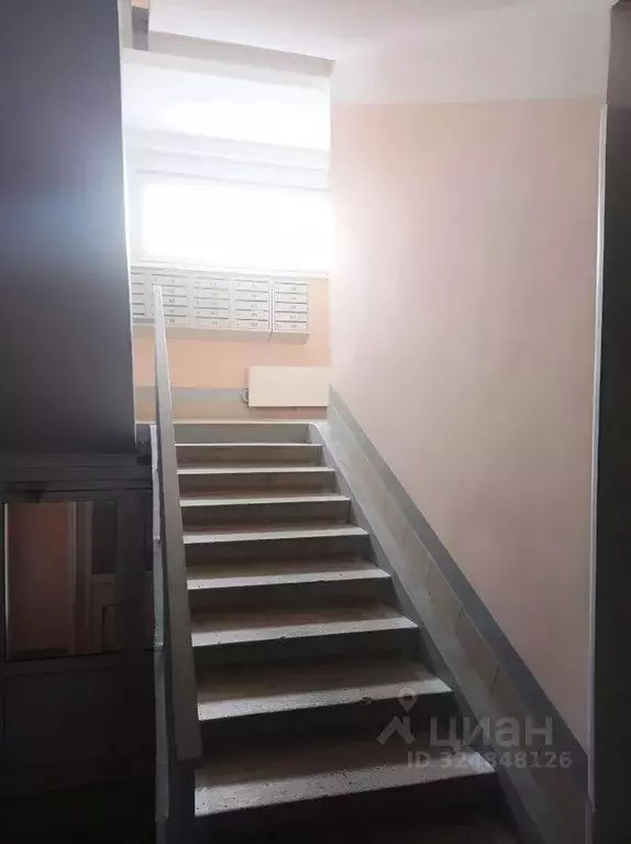 1-к кв. Алтайский край, Барнаул ул. 5-я Западная, 59 (31.4 м) - Фото 2