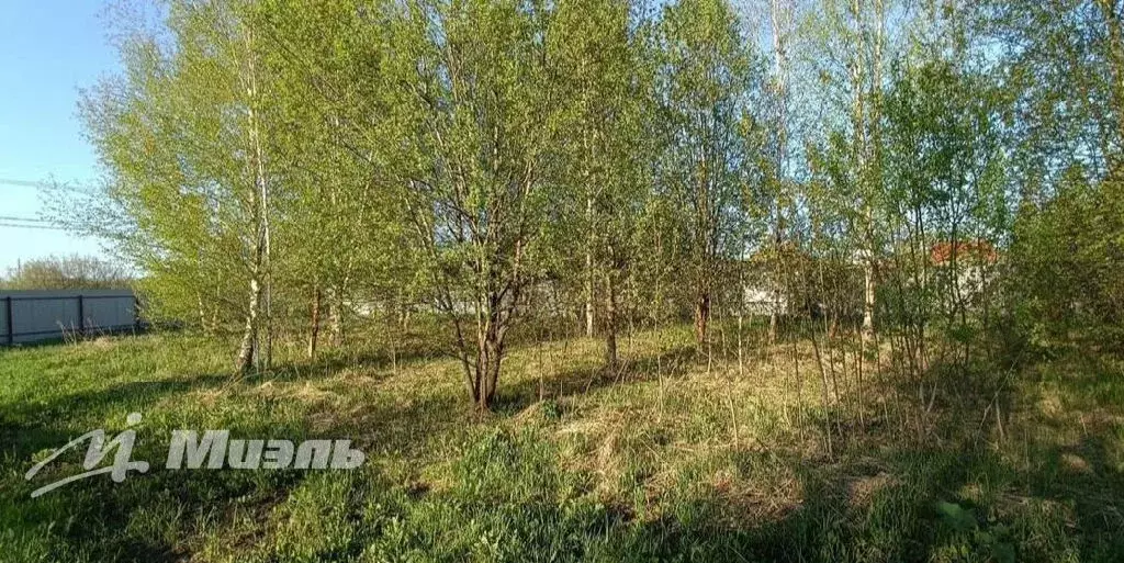 Продается участок в с. Заворово - Фото 1